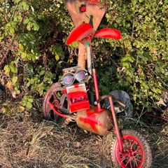 Darian @ JF2024 Time Flies - Secret Open Air