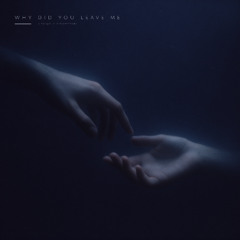 why did you leave me