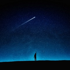 Lost in the Night