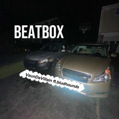 Beatbox ft.bludhounds