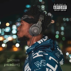 PICTURE PARADISE PROD. DMAD