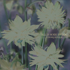 All is Soft Inside (AURORA cover)