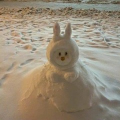 잔잔하게 겨울을 보내고 싶어.