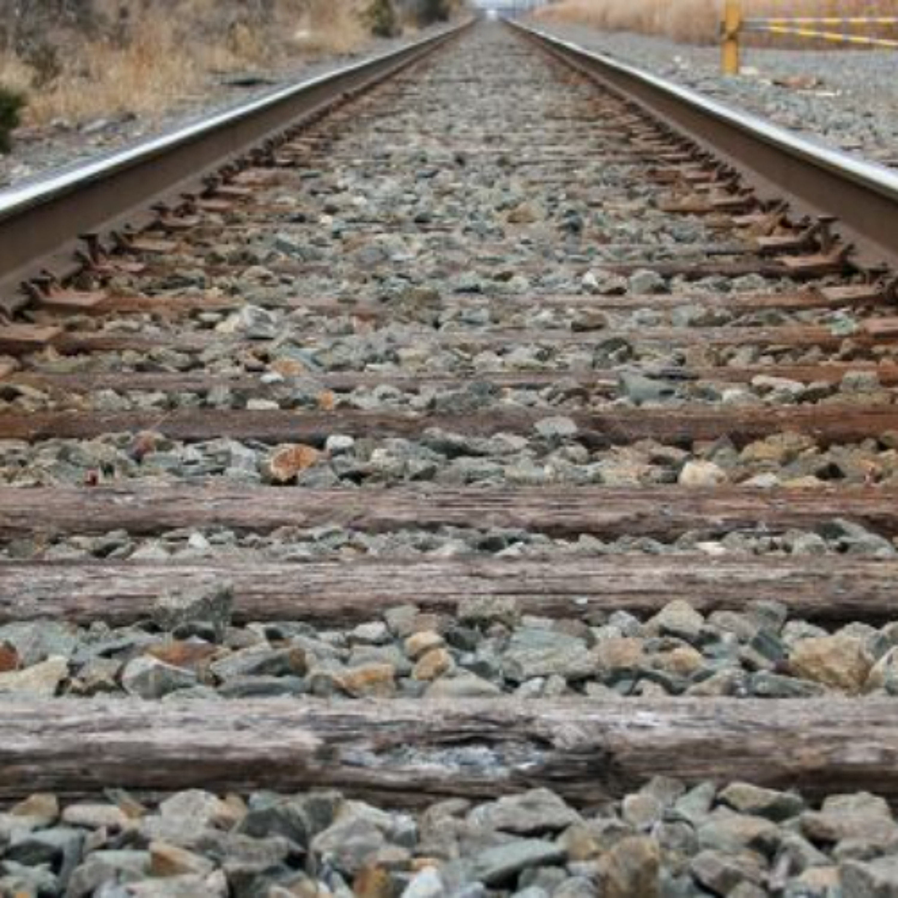 Bringing Back the Tracks: B.C. Peace Pushes for Rail to Boost Agriculture episode artwork
