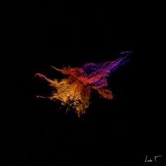 Teho - At Any Cost (Romain Garcia Remix) SNIPPET