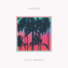 SHOOZE – PALM HUSSLE (2016)