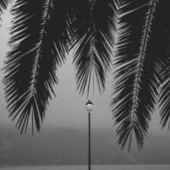 I Dont Wanna Live But