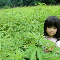 вокруг шеи - холодный китай