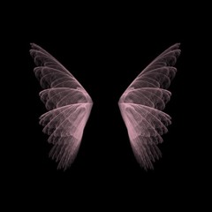 wings