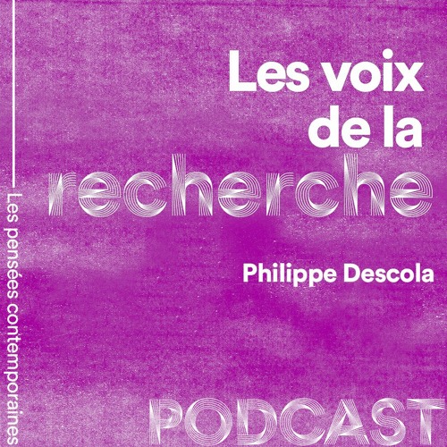 Rencontre avec Philippe Descola - Les formes du visible