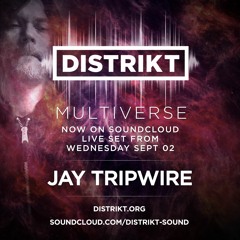 Jay Tripwire - DISTRIKT Sound - Virtual Burning Man 2020