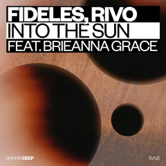 Into The Sun (feat. Brieanna Grace)