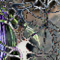sucker_20230323