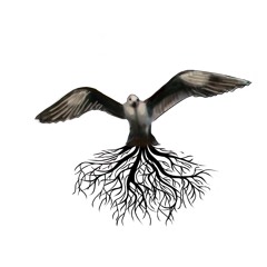 Roots & Wings
