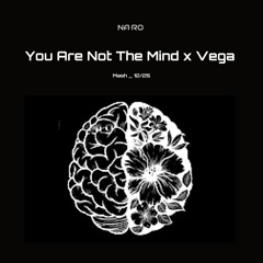You Are Not The Mind x Vega  / NA•RO Mash