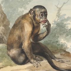 The Monkey (Smoking Trout's HOLY DUMPLING #10) w/ Stonerjazz & Tea R. Sea