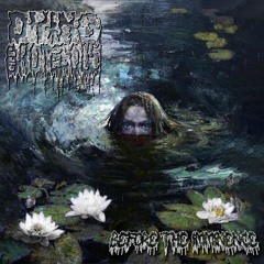 Night Of The Vampire (Roky Erickson cover)