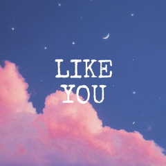 LIKE YOU (feat. Zion Royal)