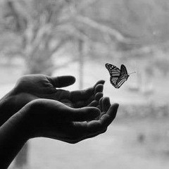 yalan dunya-nil karaibrahimgil