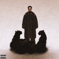 Deewane - Navaan Sandhu ft. Bir