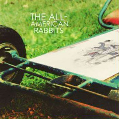 Swing Yourself Warm (The All-American Rejects x Frightened Rabbit)