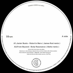 Javier Busto - Robot In Mars ( James Rod Cosmic Vocal Darkness Remix) VINYL EDITION