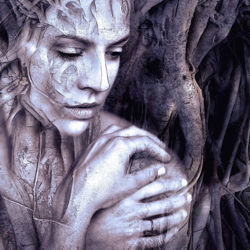 Contemplation