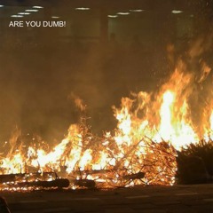 ARE YOU DUMB!(FEAT: KDOG/CANDY/REACH)