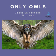 Only Owls