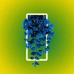 Niyah West - The Seed Will Unfurl