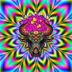 Cloud Surfing __ r.babicz / dub ambient