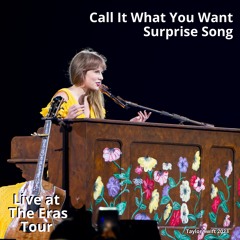 Call It What You Want (Live at The Eras Tour)