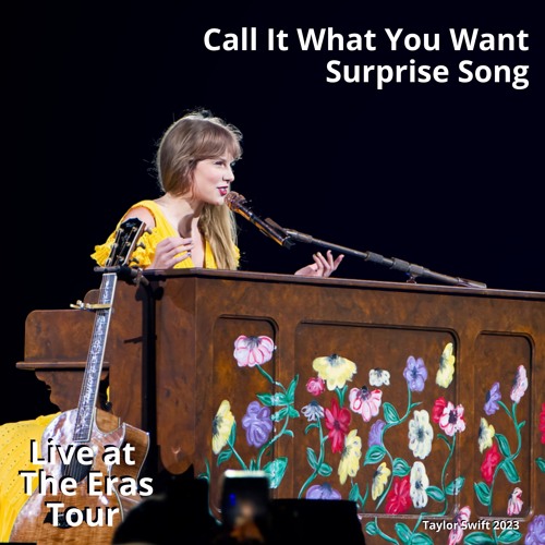 Call It What You Want (Live at The Eras Tour)