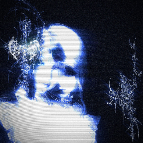 2025 SNIPPET SHOWCASE