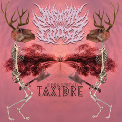 TAXIDRE (prod. sphynx)