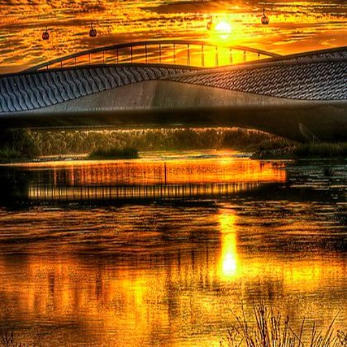 Everything Has Changed