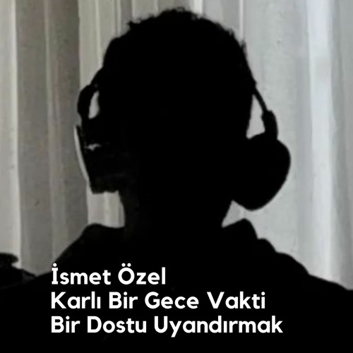 Karlı Bir Gece Vakti Bir Dostu Uyandırmak - İsmet Özel