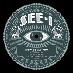 How Could You (Rodney Hunter Remix)