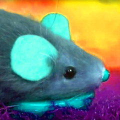 Eefje Wentelteefje - Muisje Pierieliepiepielo (NO FAKE BOOTLEG)