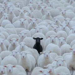 Whats The Move (freestyle)