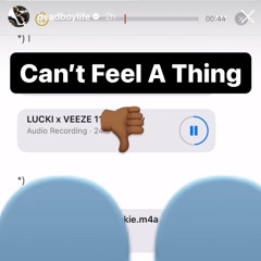 Lucki X Veeze Snippet Head Trauma / Cant Feel A Thing