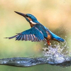 Riaffiorare - seconda versione