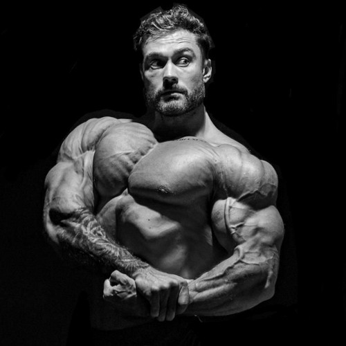 In Essence X Chris Bumstead Mr Olympia X Tom Platz