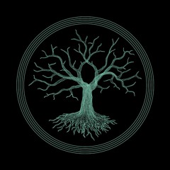 Discography