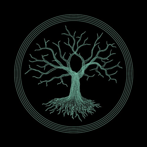 Discography