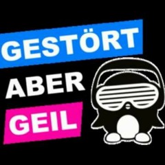 APPLAUS•GESTÖRT ABER GEIL•REMIX