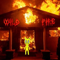 WILD FIRE