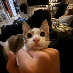 TOBii