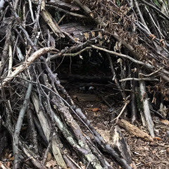 we HAVE to SAFE US!!!!!!!!