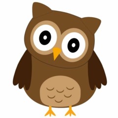 Vector Owl Animated Adventures